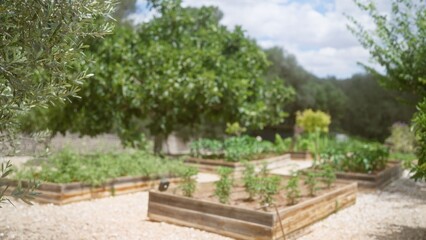 Blurred view of a tranquil garden with raised beds planted with various crops, surrounded by lush trees and a serene, clear sky.