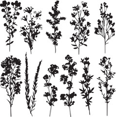 Set plants. Hand drawn vector illustration