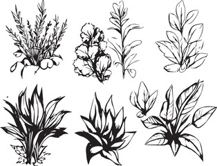 Set plants. Hand drawn vector illustration