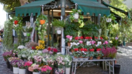 Blurred flower shop outdoors with vibrant plants and bokeh effect, featuring a kiosk filled with colorful blooms and greenery on a sunny street.