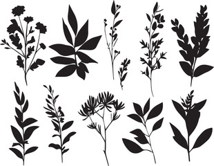 Set plants. Hand drawn vector illustration