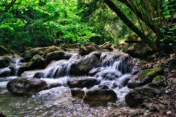 Auf dem Grund der Gorges de la Nesque