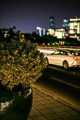 Nighttime street scene with city lights and potted plant.