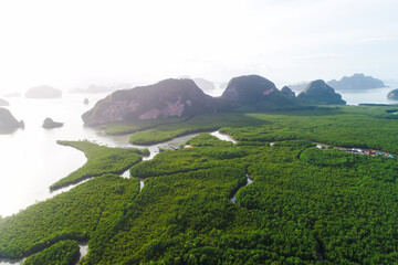 Ecology system green background tropical mangrove forest texture in sea bay aerial view