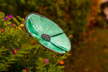 A photo of a green butterfly sitting on top of a green plant