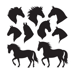 Horse Vector Illustration 