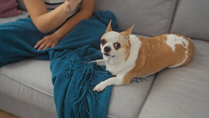 A woman relaxes with her chihuahua on a couch in a cozy living room.