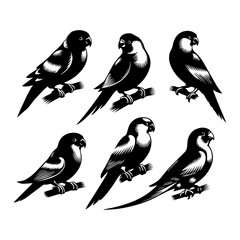 Silhouette of  budgerigar, budgie, parakeet bird Vector Art illustration with a white background