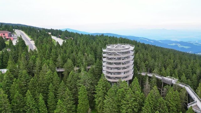 Aerial view of a beautiful treetop trail and modern view tower amidst lush greenery in a scenic forest, Rogla, Slovenia.