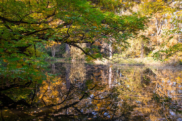 A photo of a body of water surrounded by trees