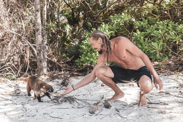 A man is feeding Coati coatis with food tropical jungle Mexico.