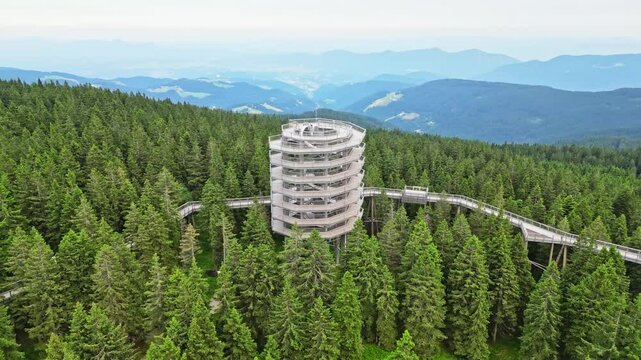 Aerial view of a beautiful treetop trail and view tower surrounded by a serene forest, Rogla, Slovenia.