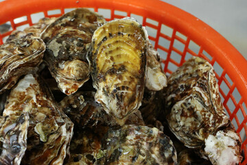 Korean seafood food. Fresh oysters in a basket