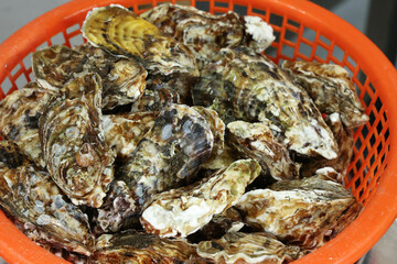 Korean seafood food. Fresh oysters in a basket