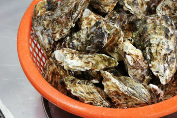 Korean seafood food. Fresh oysters in a basket