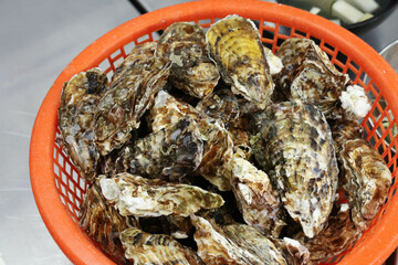 Korean seafood food. Fresh oysters in a basket