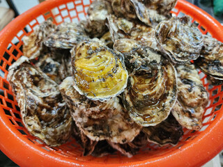 Korean seafood food. Fresh oysters in a basket