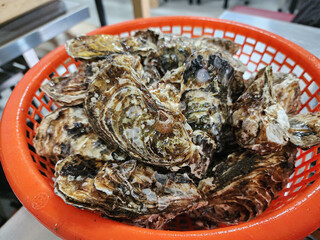 Korean seafood food. Fresh oysters in a basket