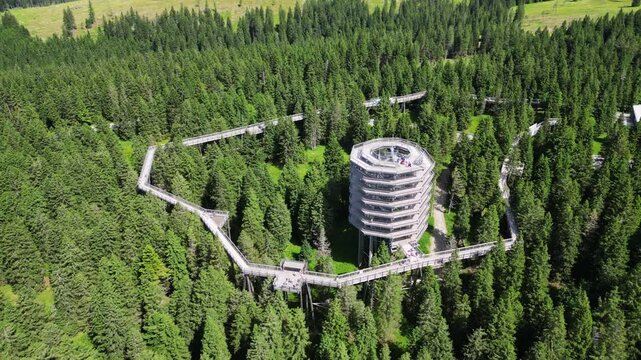 Aerial view of a scenic treetop trail and view tower surrounded by lush forest, Rogla, Slovenia.