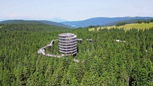 Aerial view of a scenic forest with a view tower and treetop trail, Rogla, Slovenia.