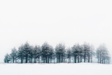 White sky, dense snow falling, dense pine forest in the distance, white background, foggy, heavy snowfall, minimalist, simple