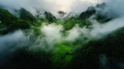 Obraz premium A rich green valley enveloped in thick mist creating an enchanting and calm scene, with mist rolling through the rugged mountains, enhancing its mystery.