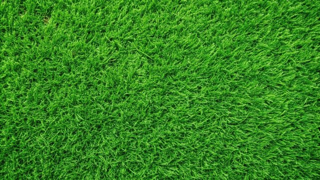 fresh green grass mat background texture