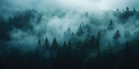 Obraz premium Foggy Forest Landscape