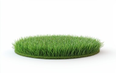 Lush green grass in a circular shape, ideal for nature-themed designs, eco-friendly concepts, and outdoor activities.