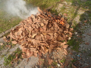 Burning dry leaf waste with billowing white smoke.