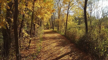 Obraz premium On The Paths In Natural Reserve Of The Burcina Felice Piacenza Park Golden Autumn