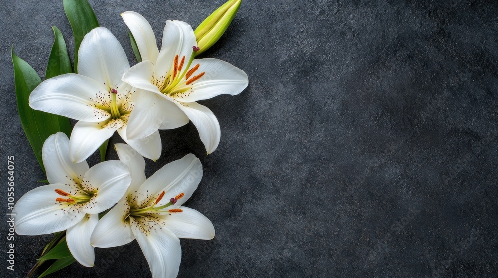 Poster lilies arranged on a dark stone surface viewed from above featuring ample space for your text or pro