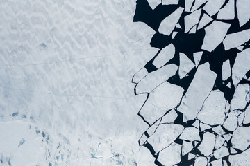 Eisbärspuren
