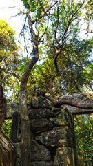 Ruins of an old fort from the gold mining era near Belo Horizonte, in the state of Minas Gerais, Brazil