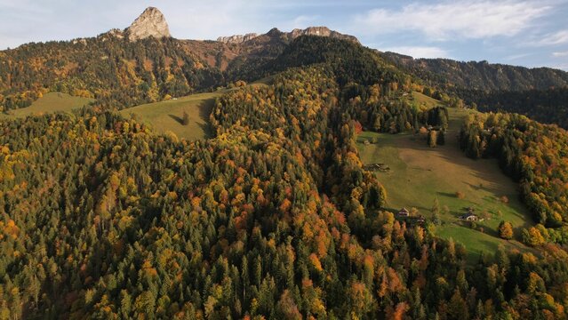 Aerial view of vibrant autumn forest with mountain backdrop.