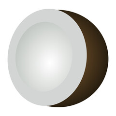 Coconut Slice Illustration – Simple 3D Fruit Design for Food and Nutrition Graphics