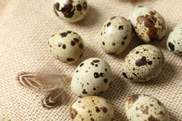 Quail eggs on burlap background