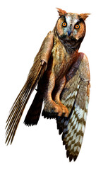 3D Rendering Eagle Owl on White