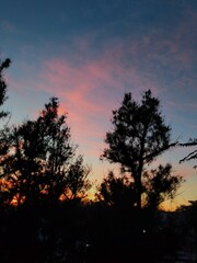 Captures of lusco fuscos, cresp&uacute;sculos, twilights