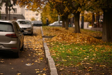 autumn in the urban environment