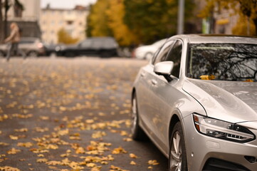autumn in the urban environment