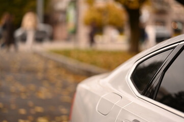autumn in the urban environment