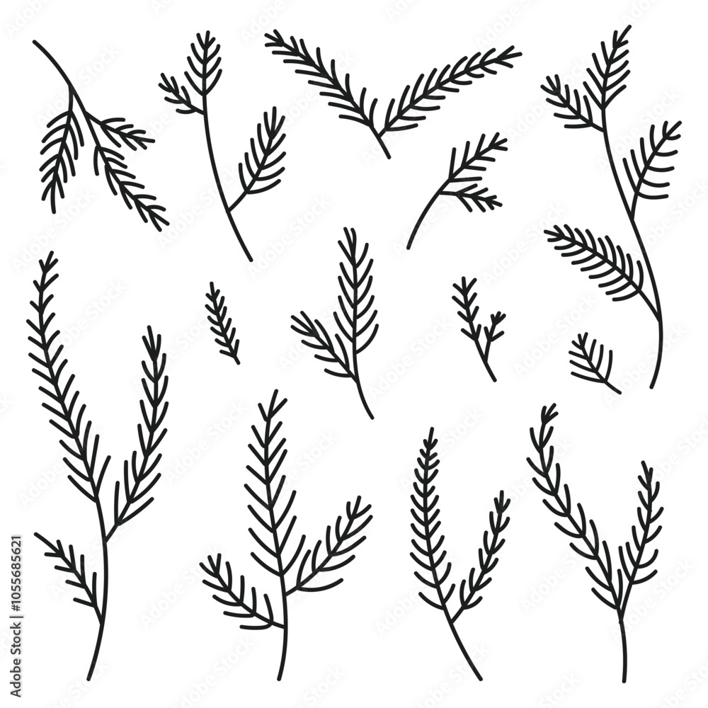 Poster hand drawn set evergreen tree branches. conifer black branches isolated on a white background. minim