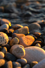 Rocks on the beach lit by the setting sun. Warm light during the golden hour