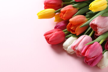 Beautiful tulips on colored background