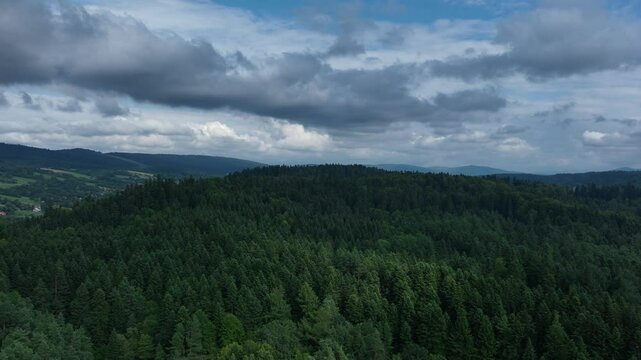 Flying over a dense forest in the mountains. Mavic 3