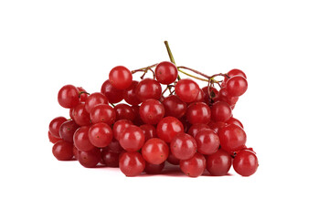 Bunch of freshly picked viburnum berries isolated on white background.