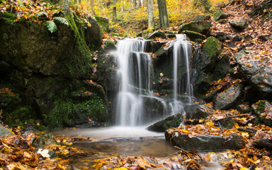 A forest stream with a waterfall in autumn, surrounded by vibrant colorful leaves.