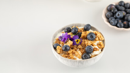 A healthy nutritious breakfast of natural Greek yoghurts, granola and fresh berries. Copy space