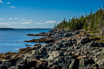 Rocky Coastline in Acadia National Park